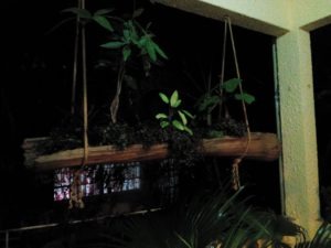 jardiniere en bois suspendue